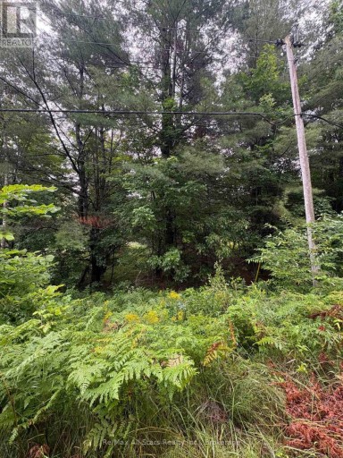 968 NORTH MARY LAKE ROAD, Huntsville, Ontario, P1H1S4