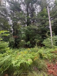 968 NORTH MARY LAKE ROAD Huntsville Ontario photo 3