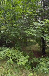958 NORTH MARY LAKE ROAD Huntsville Ontario photo 3