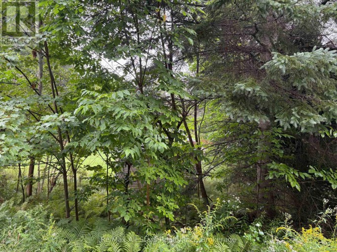 958 NORTH MARY LAKE ROAD, Huntsville, Ontario, P1H1S4