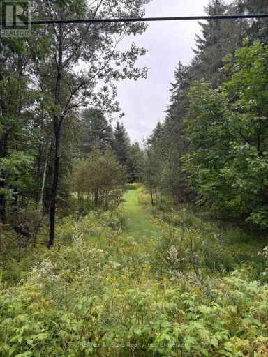 964 NORTH MARY LAKE ROAD, Huntsville, Ontario, P1H1S4