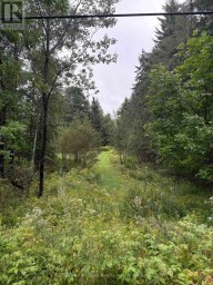 964 NORTH MARY LAKE ROAD Huntsville Ontario photo 2