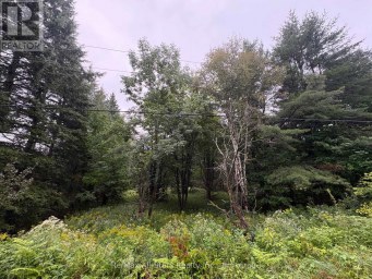 964 NORTH MARY LAKE ROAD Huntsville Ontario photo 3