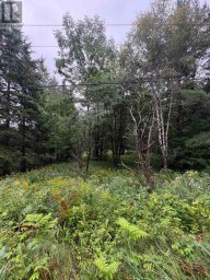 964 NORTH MARY LAKE ROAD Huntsville Ontario photo 5