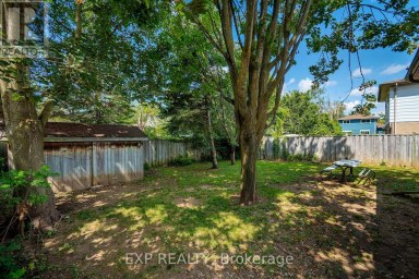 260 COOK STREET Barrie (Grove East) Ontario photo 25