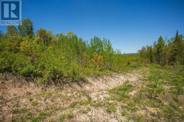 76 Calabogie RD|Laird Township, Echo Bay, Ontario, P0S1C0