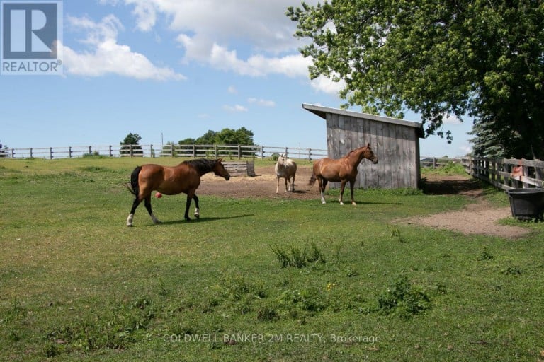 5728 GILMORE ROAD, Clarington, Ontario, L0A1J0