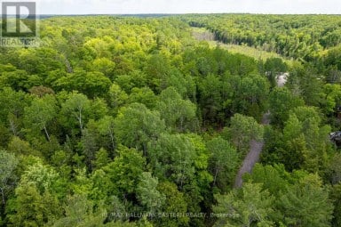 00 JOHNSON ROAD North Kawartha Ontario photo 10