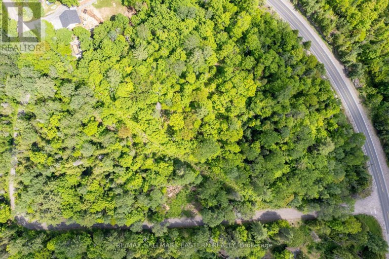 00 JOHNSON ROAD, North Kawartha, Ontario, K0L1A0
