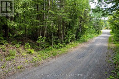 00 JOHNSON ROAD North Kawartha Ontario photo 5