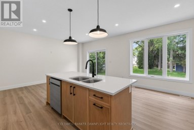 119 JAMES STREET North Middlesex (Ailsa Craig) Ontario photo 7
