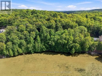 1122 SOUTH BERNARD LAKE ROAD Strong Ontario photo 1