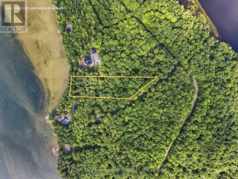 1122 SOUTH BERNARD LAKE ROAD Strong Ontario photo 2