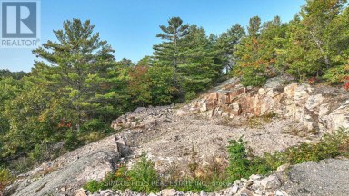 1110 FLANAGAN TRAIL S Gravenhurst (Wood (Gravenhurst)) Ontario photo 10