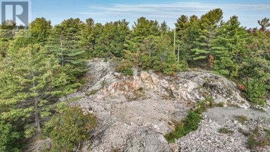 1110 FLANAGAN TRAIL S Gravenhurst (Wood (Gravenhurst)) Ontario photo 11