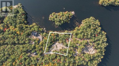 1110 FLANAGAN TRAIL S Gravenhurst (Wood (Gravenhurst)) Ontario photo 3