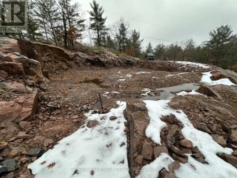 1110 FLANAGAN TRAIL S Gravenhurst (Wood (Gravenhurst)) Ontario photo 5