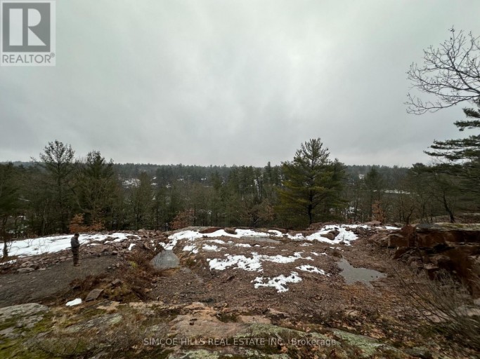 1110 FLANAGAN TRAIL S, Gravenhurst (Wood (Gravenhurst)), Ontario, P0E1G0