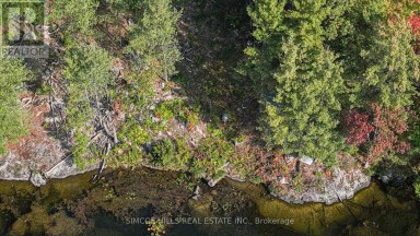 1110 FLANAGAN TRAIL S Gravenhurst (Wood (Gravenhurst)) Ontario photo 7