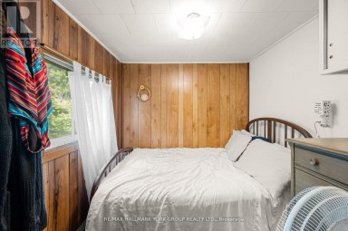 40630 SHORE ROAD Brock (Beaverton) Ontario photo 12