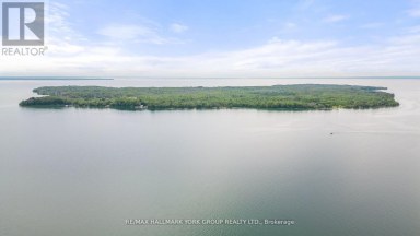 40630 SHORE ROAD Brock (Beaverton) Ontario photo 26