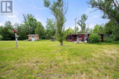 40630 SHORE ROAD Brock (Beaverton) Ontario photo 3