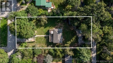 337 LAKE DALRYMPLE ROAD Kawartha Lakes (Carden) Ontario photo 41