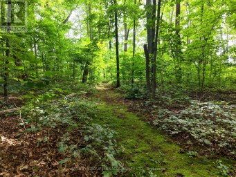 38 WESTVIEW DRIVE Kawartha Lakes (Emily) Ontario photo 42