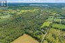 318 FRENCH SETTLEMENT ROAD, Tweed (hungerford (twp)), Ontario, K0K3J0 (ID X13713098)
