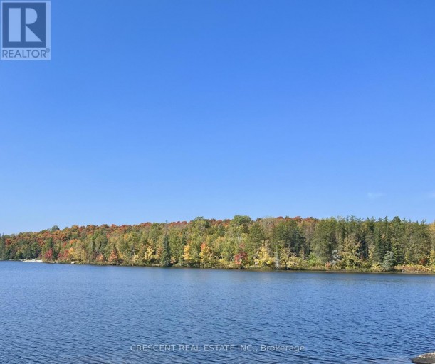 3B JACK'S LAKE ROAD, Parry Sound Remote Area (Golden Valley), Ontario, P0H1N0