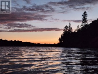 3B JACK'S LAKE ROAD Parry Sound Remote Area (Golden Valley) Ontario photo 5