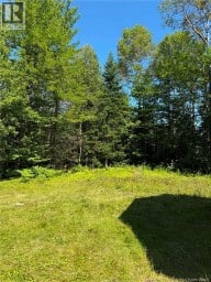 691 Williamstown Road Williamstown New Brunswick photo 4