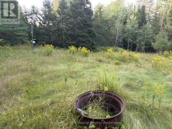 336 CHURCH ROAD Hastings Highlands (Wicklow Ward) Ontario photo 7