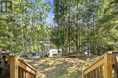 74 BALDWIN BAY ROAD Trent Lakes Ontario photo 39