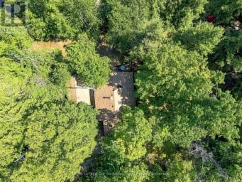 74 BALDWIN BAY ROAD Trent Lakes Ontario photo 44