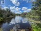 458 LEIGHTON ROAD, Machar, Ontario, P0A1X0 (ID X13715336)