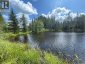 458 LEIGHTON ROAD, Machar, Ontario, P0A1X0 (ID X13715336)