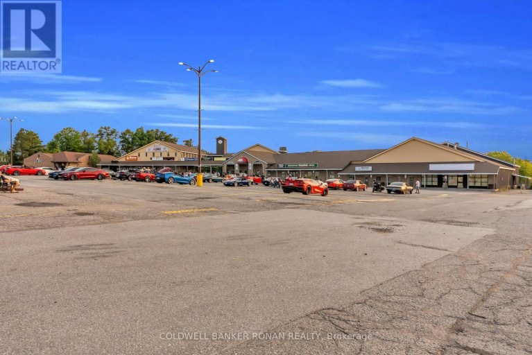8 - 17250 HIGHWAY 27, King (Schomberg), Ontario, L0G1T0