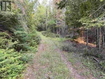Hamilton Drive/ X Line St. Joseph Island Ontario photo 2