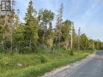 Hamilton Drive/ X Line St. Joseph Island Ontario photo 3