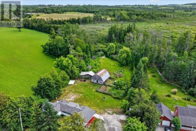 93 LOOP LINE Kawartha Lakes (Emily) Ontario photo 2