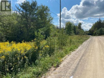 0 STONEY SETTLEMENT ROAD Tudor and Cashel (Tudor Ward) Ontario photo 13