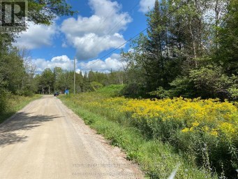 0 STONEY SETTLEMENT ROAD Tudor and Cashel (Tudor Ward) Ontario photo 14