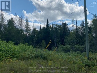 0 STONEY SETTLEMENT ROAD Tudor and Cashel (Tudor Ward) Ontario photo 16
