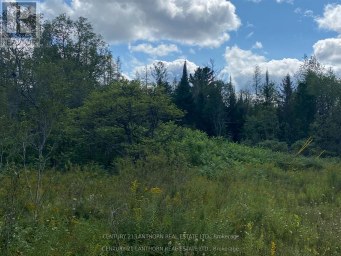 0 STONEY SETTLEMENT ROAD Tudor and Cashel (Tudor Ward) Ontario photo 18