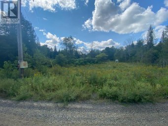 0 STONEY SETTLEMENT ROAD Tudor and Cashel (Tudor Ward) Ontario photo 21