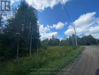 0 STONEY SETTLEMENT ROAD Tudor and Cashel (Tudor Ward) Ontario photo 22