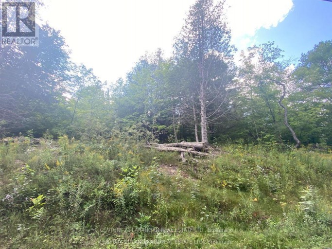 0 STONEY SETTLEMENT ROAD, Tudor and Cashel (Tudor Ward), Ontario, K0K1Y0