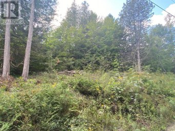0 STONEY SETTLEMENT ROAD Tudor and Cashel (Tudor Ward) Ontario photo 7