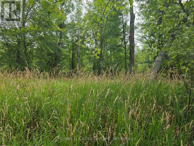 E 1/2 OF W 1/2 LT 28 CONCESSION 12, North Kawartha, Ontario, K0L1A0